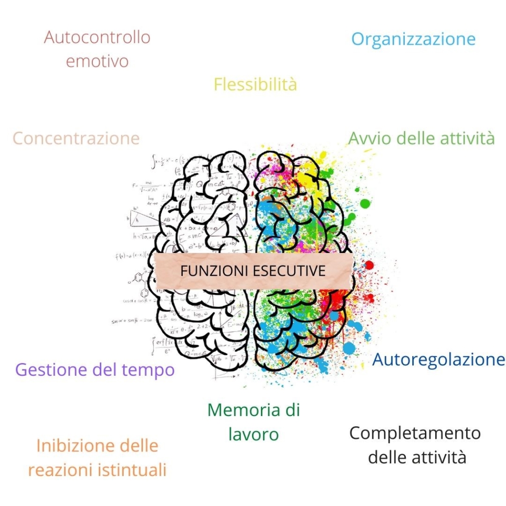 Quanto sono importanti le funzioni esecutive?!